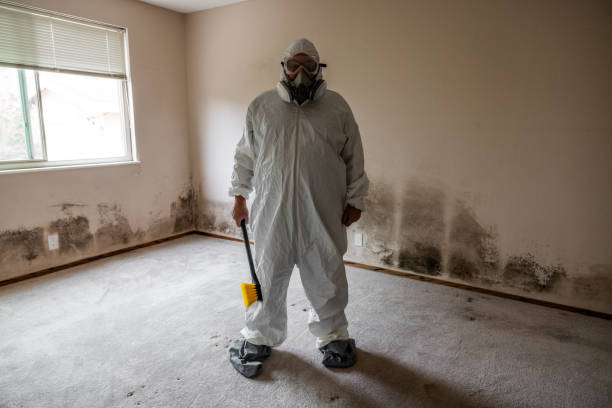 Forensic Mold Investigation in Runge, TX